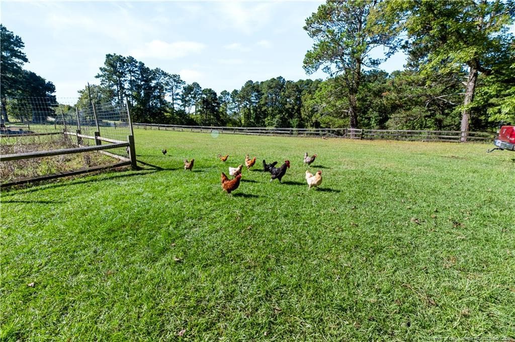 Photo 19 - 1870 McCormick Road, Sanford, NC 27332