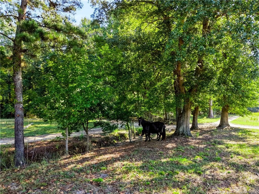 Photo 22 - 1870 McCormick Road, Sanford, NC 27332