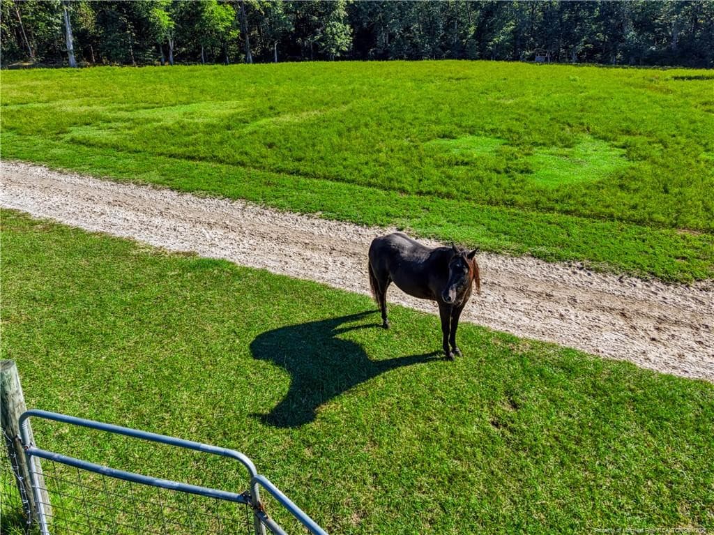 Photo 13 - 1870 McCormick Road, Sanford, NC 27332
