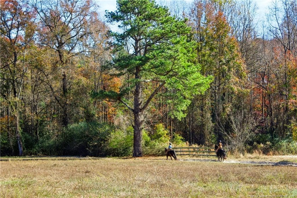 Photo 27 - 1870 McCormick Road, Sanford, NC 27332