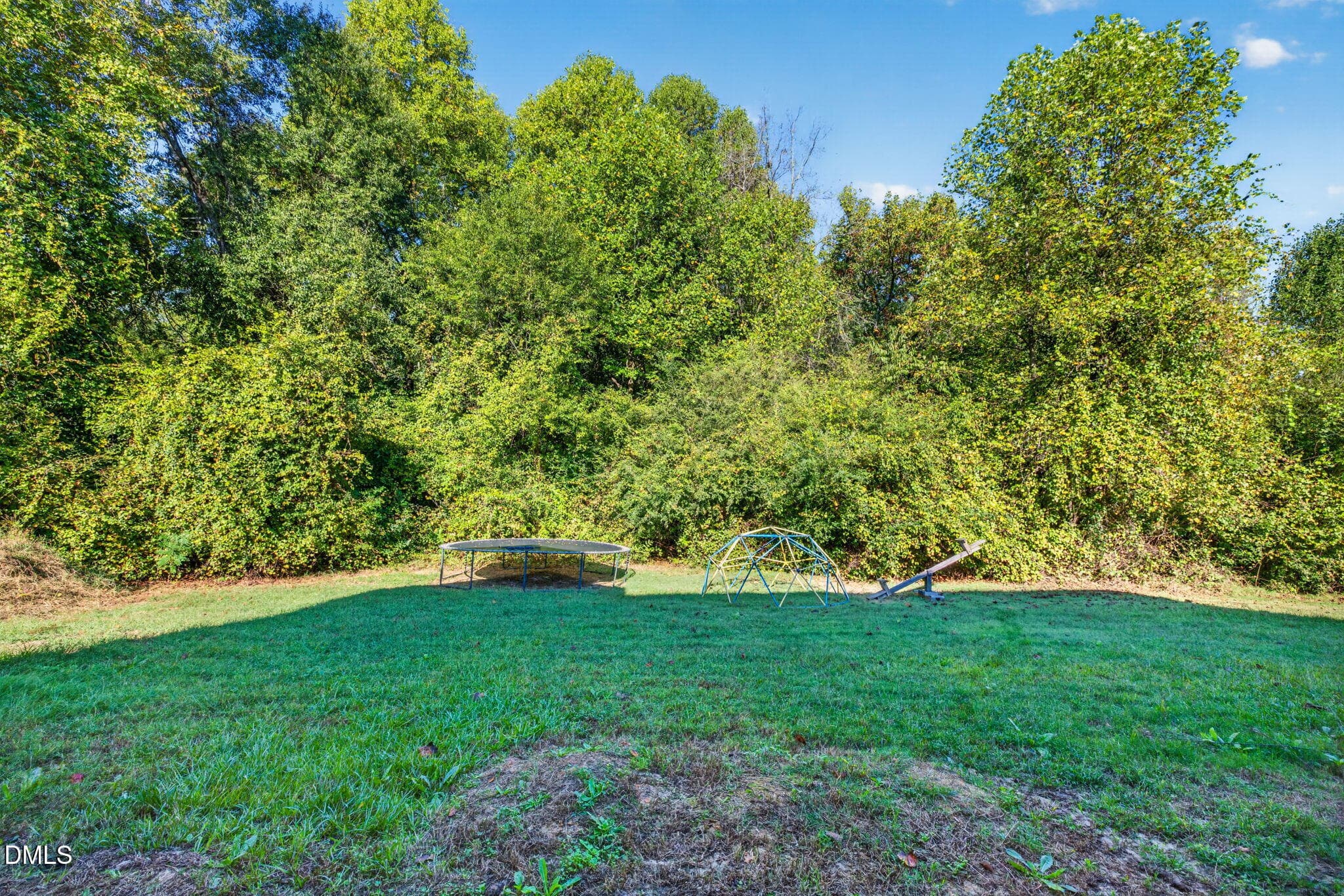46-web-or-mls-IMG_0322 - 62 Evalice Court, Angier, NC 27501, Angier