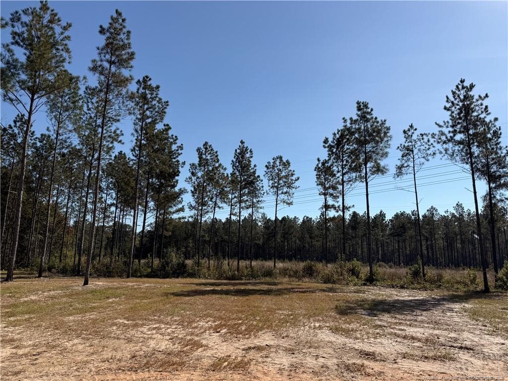 Photo 32 - 215 Whispering Ridge, West End, NC 27376