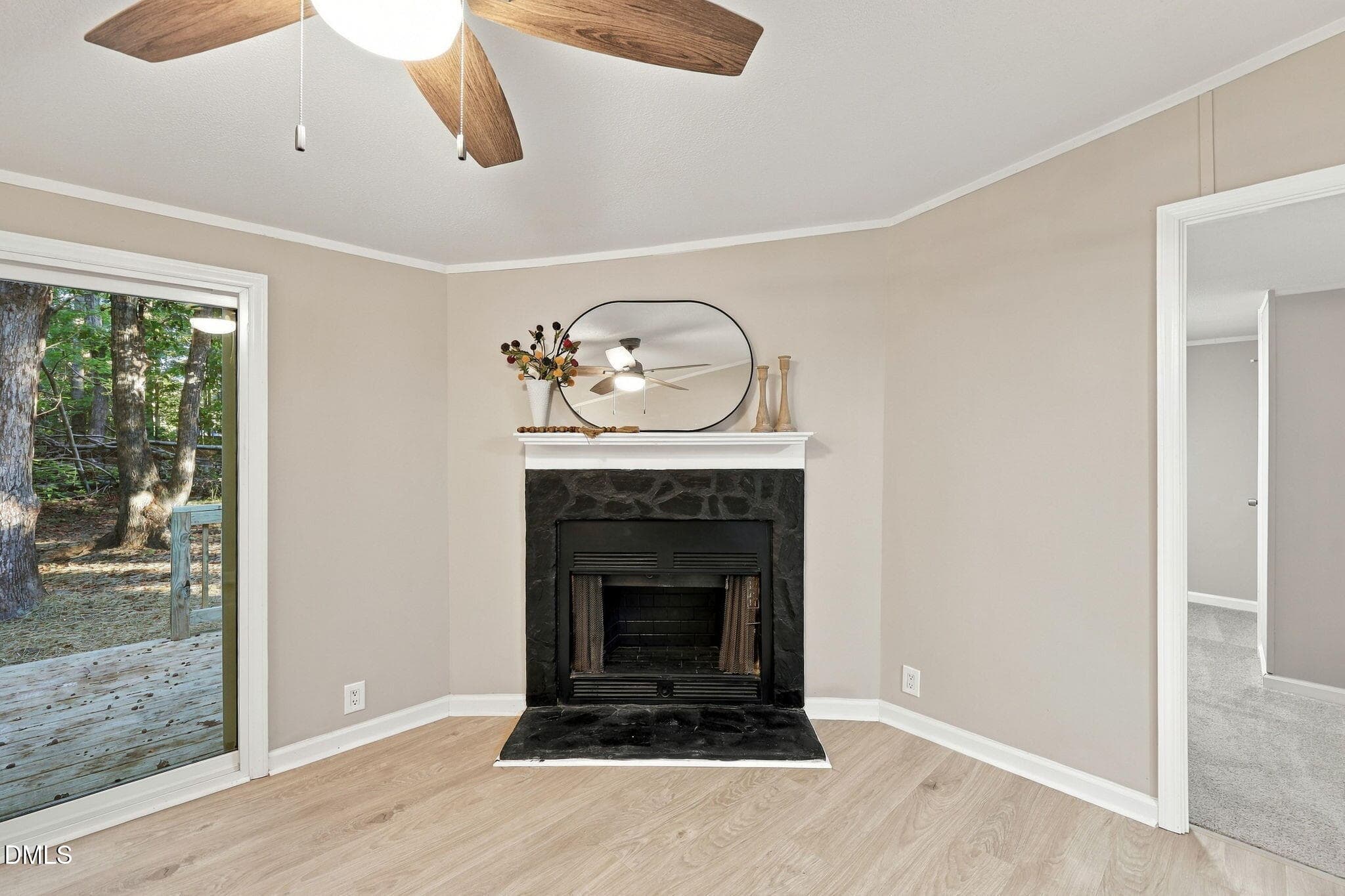 35-web-or-mls-IMG_0981 - 1660 Mount Olivet Church Road, Franklinton, NC 27525, Franklinton