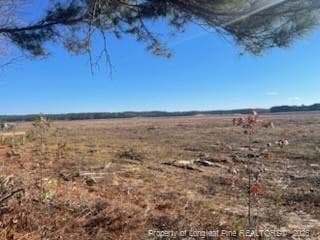 Photo 2 - 847 Seagull Drive, Vass, NC 28394, Vass