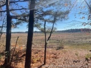 Photo 3 - 847 Seagull Drive, Vass, NC 28394