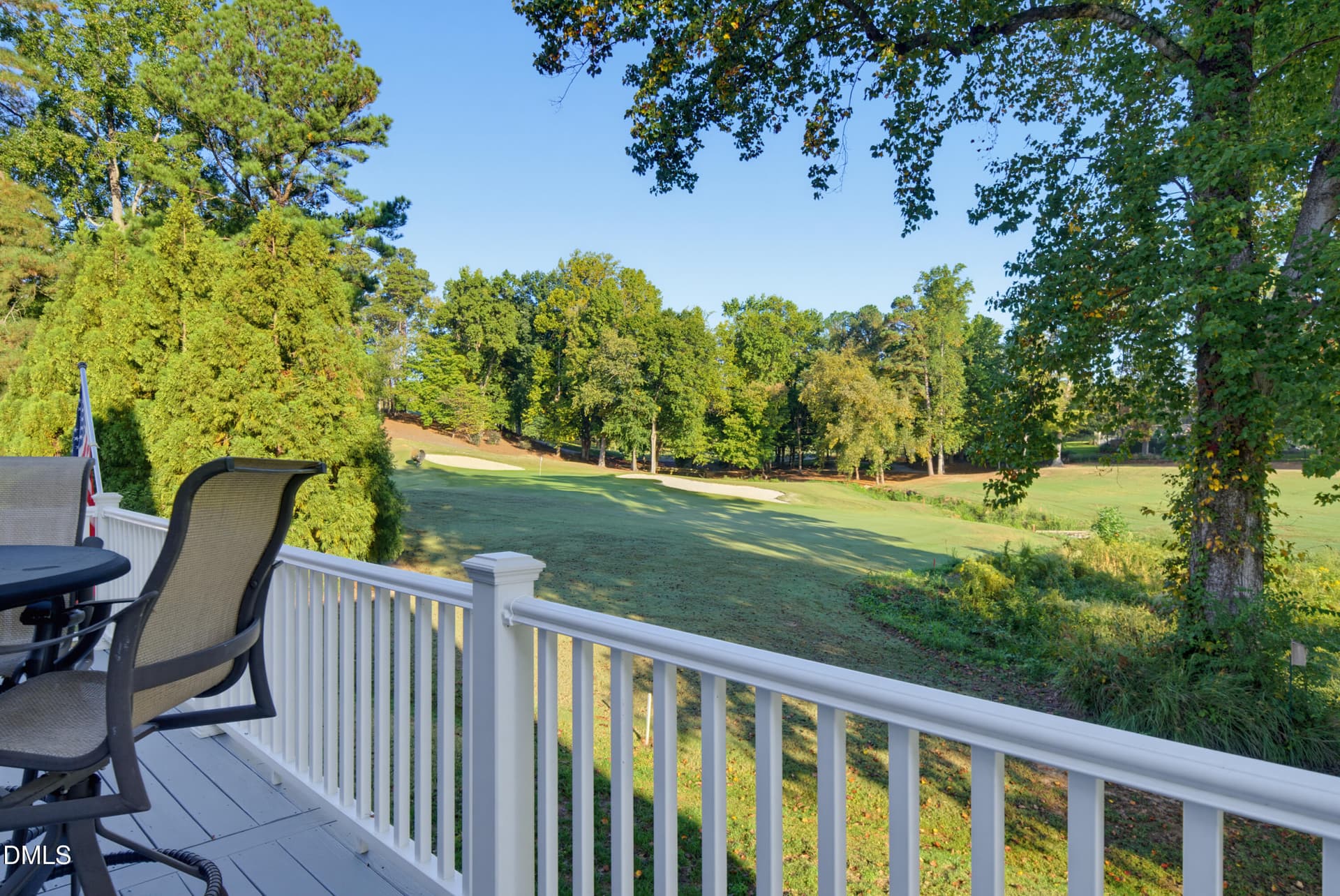 DSC04010 - 12523 Bellstone Lane, Raleigh, NC 27614