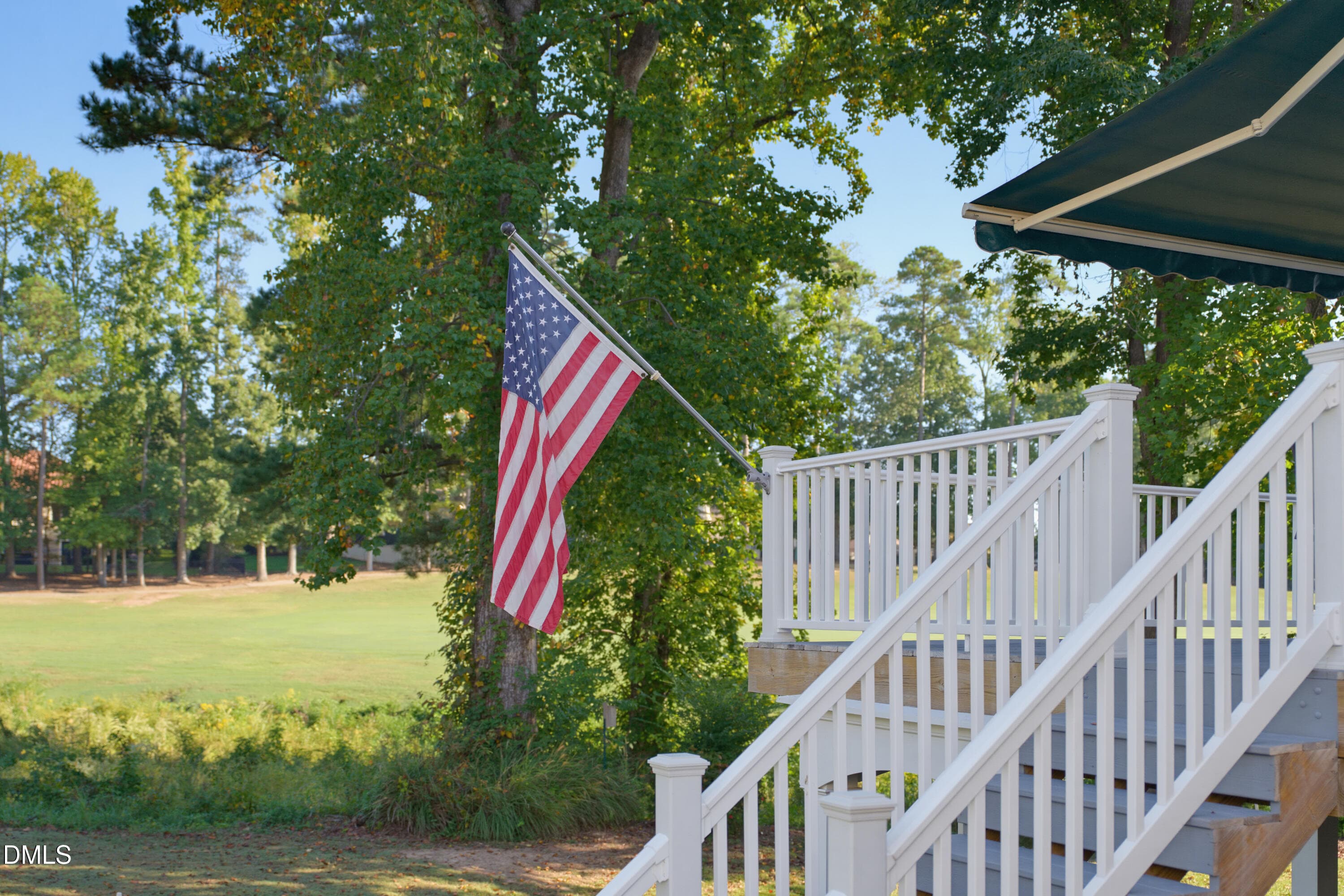 DSC03716 - 12523 Bellstone Lane, Raleigh, NC 27614