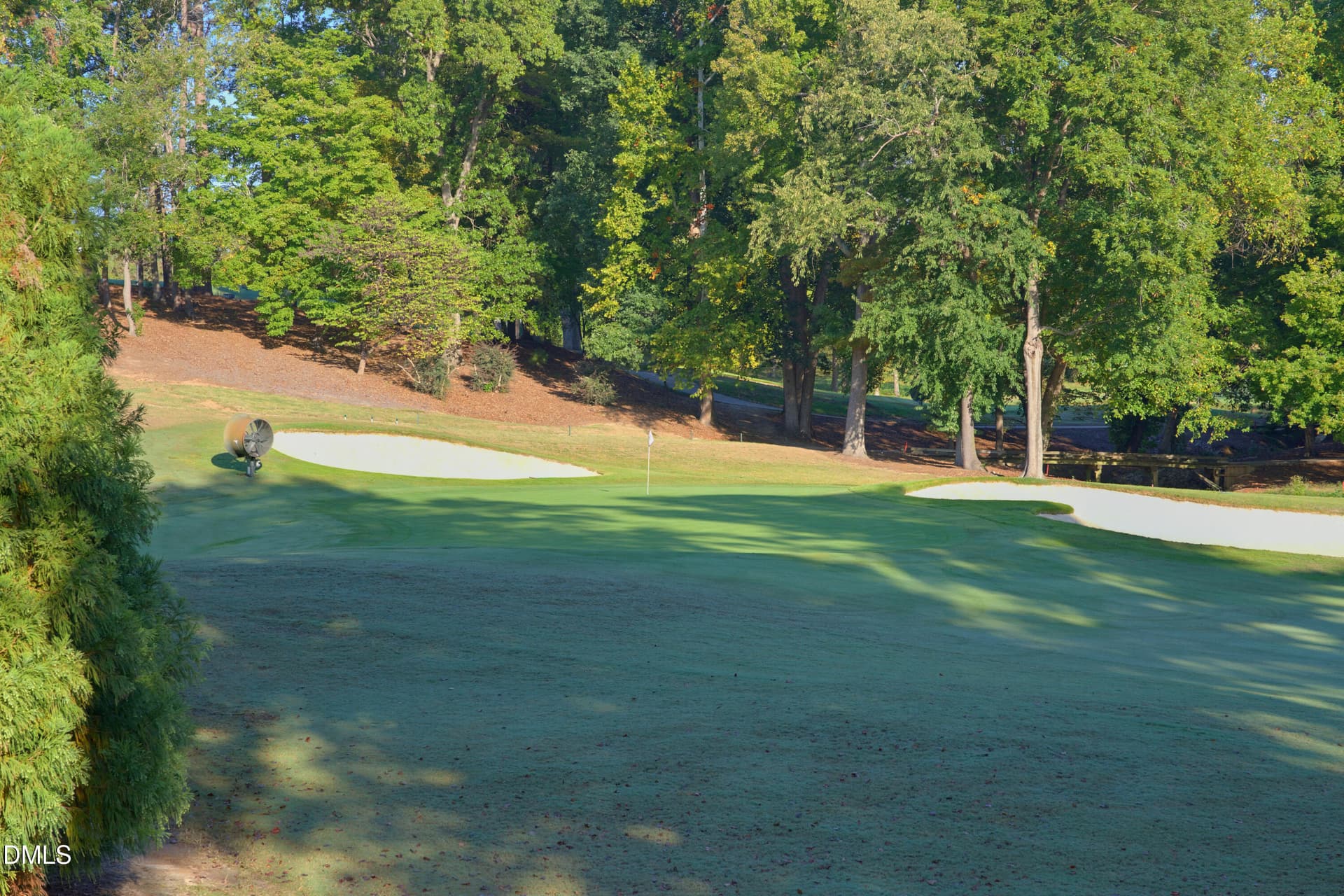 DSC03687 - 12523 Bellstone Lane, Raleigh, NC 27614