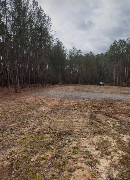 Photo 2 - 183 Thistlecone Lane, Sanford, NC 27332