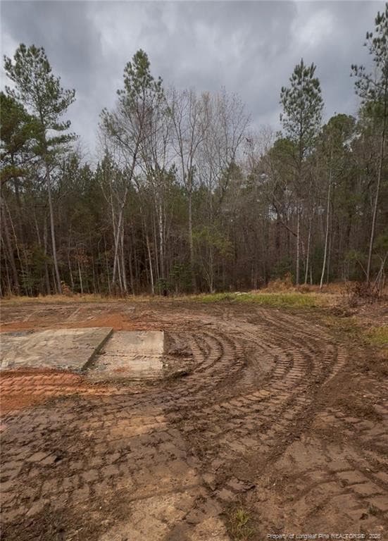 Photo 3 - 183 Thistlecone Lane, Sanford, NC 27332, Sanford