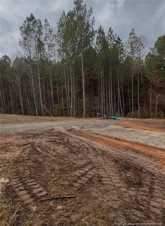 Photo 4 - 183 Thistlecone Lane, Sanford, NC 27332, Sanford