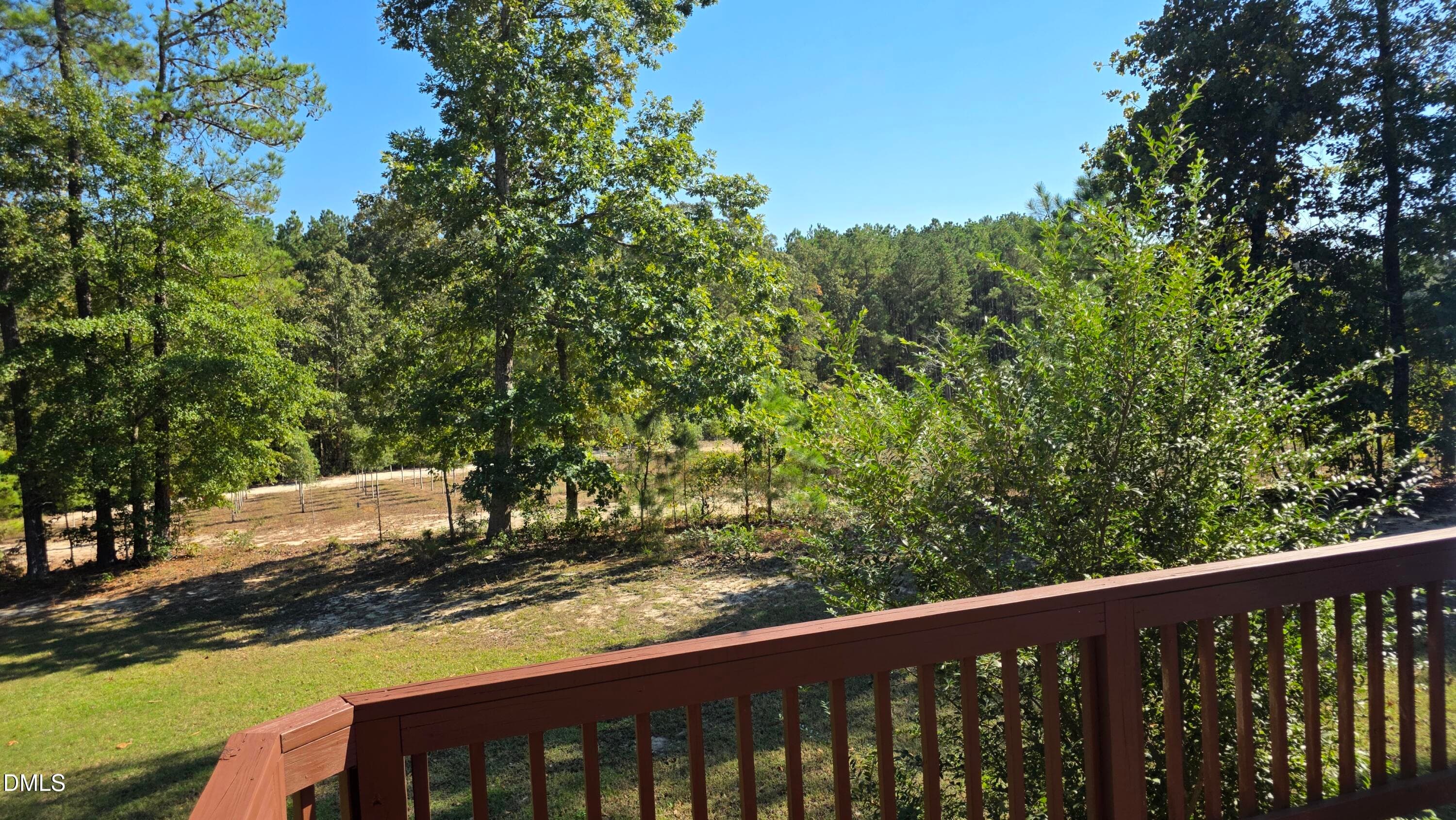 View from back deck-right - 183 High Standard Lane, Angier, NC 27501