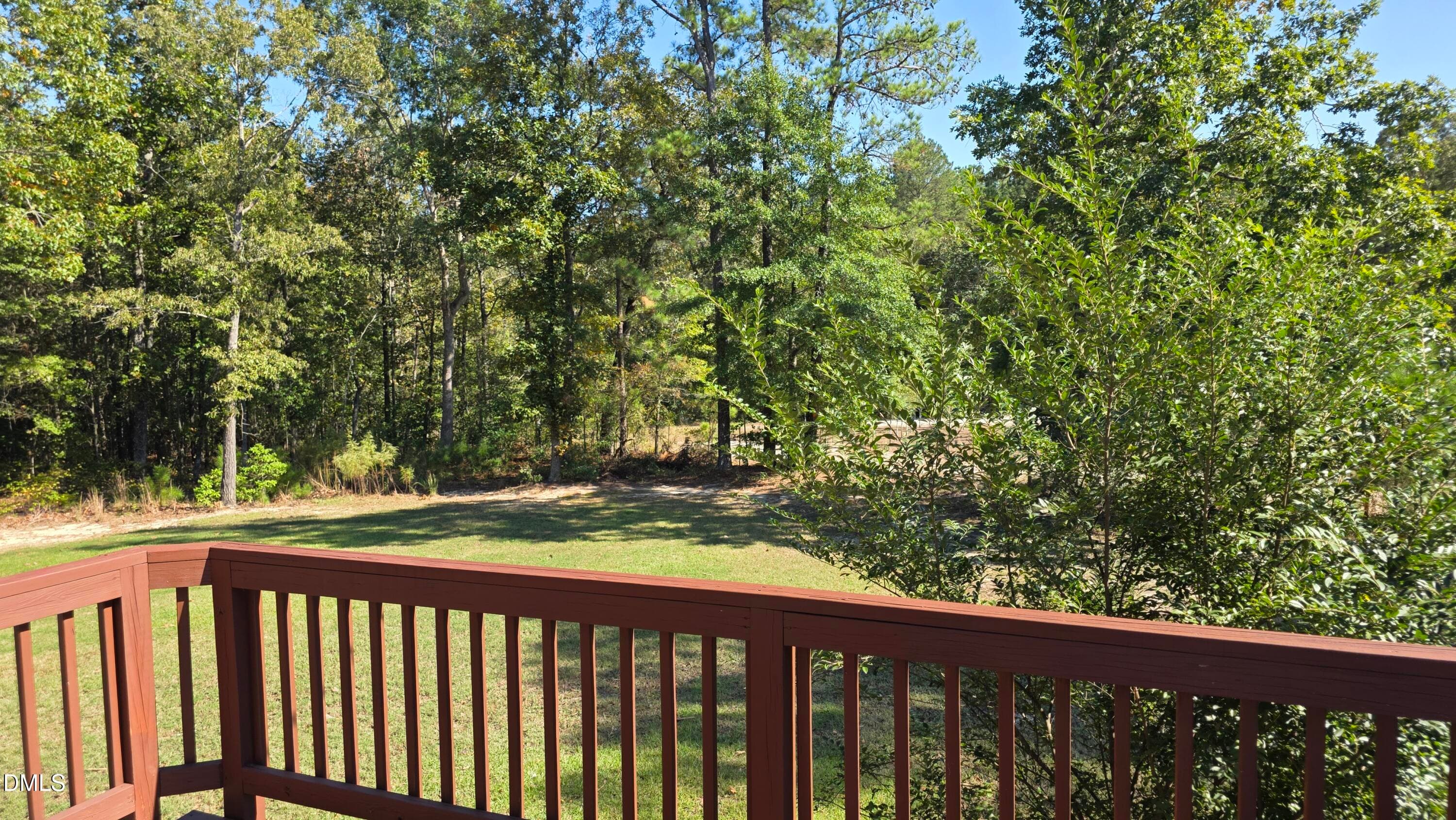 View from back deck -left - 183 High Standard Lane, Angier, NC 27501