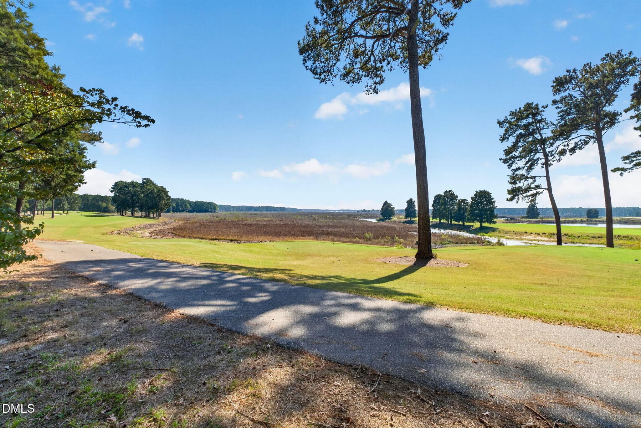 49-web-or-mls-DSC06945 - 540 Loblolly Drive, Vass, NC 28394, Vass