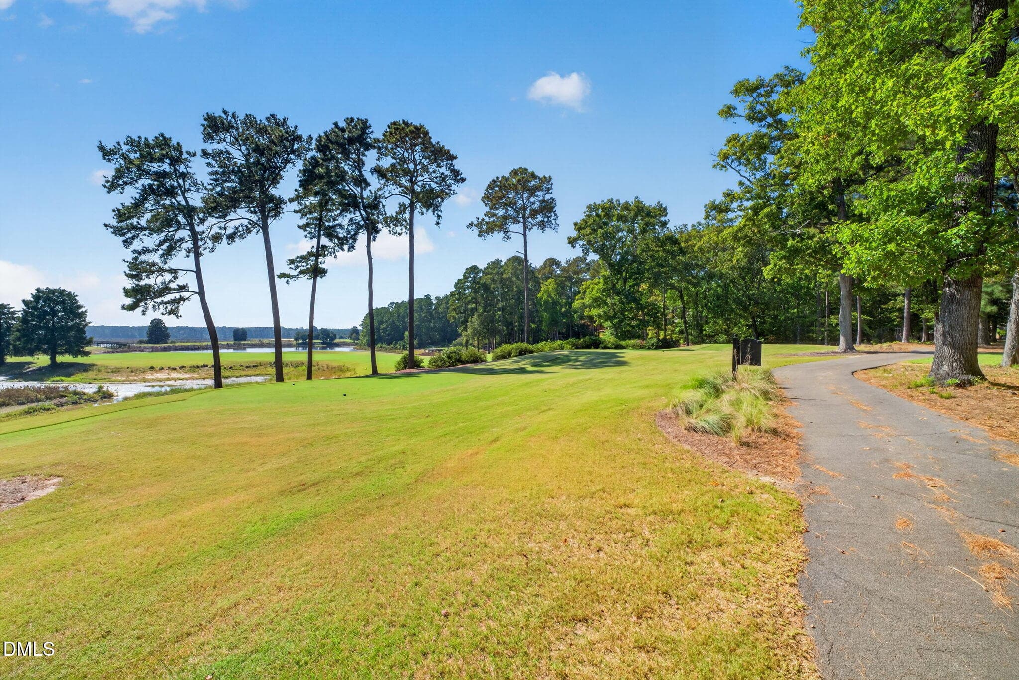 50-web-or-mls-DSC06950 - 540 Loblolly Drive, Vass, NC 28394, Vass