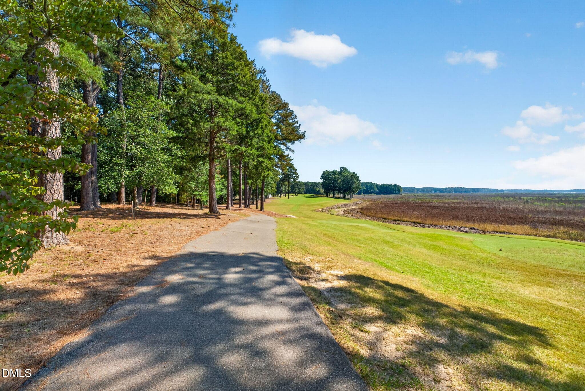 51-web-or-mls-DSC06955 - 540 Loblolly Drive, Vass, NC 28394, Vass