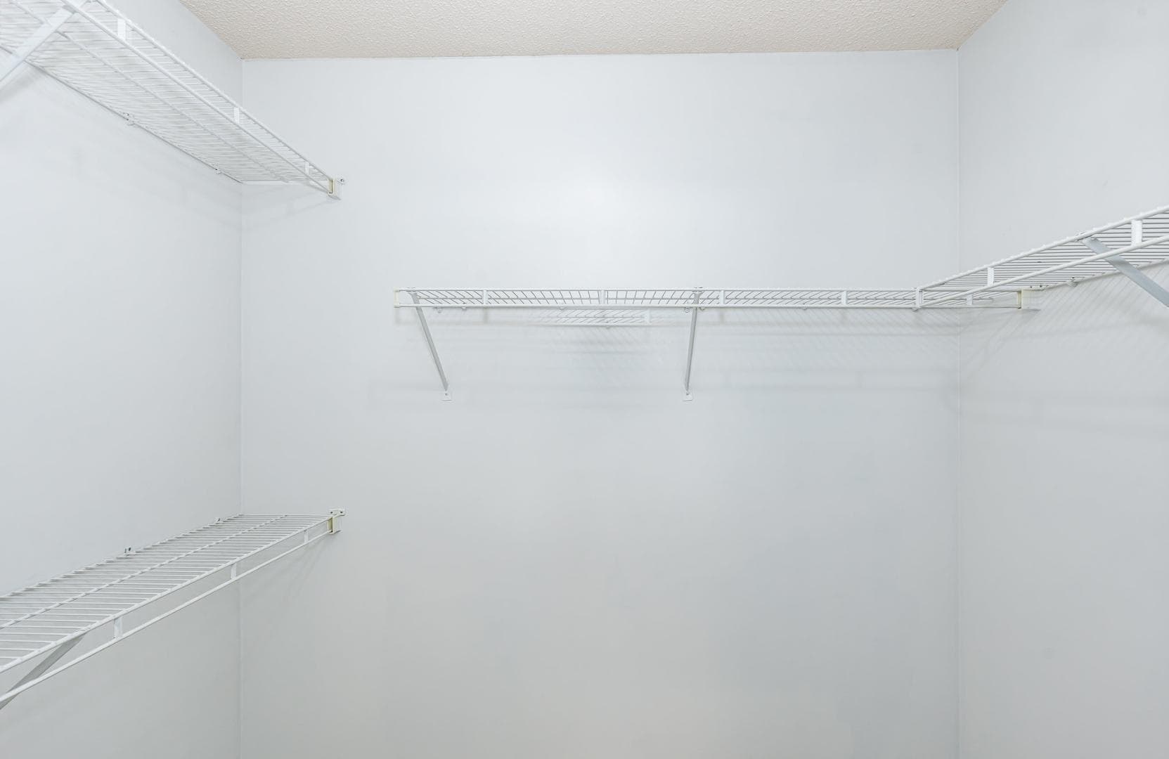 Photo #13 - 9212 Erinsbrook Drive, Raleigh, NC 27617