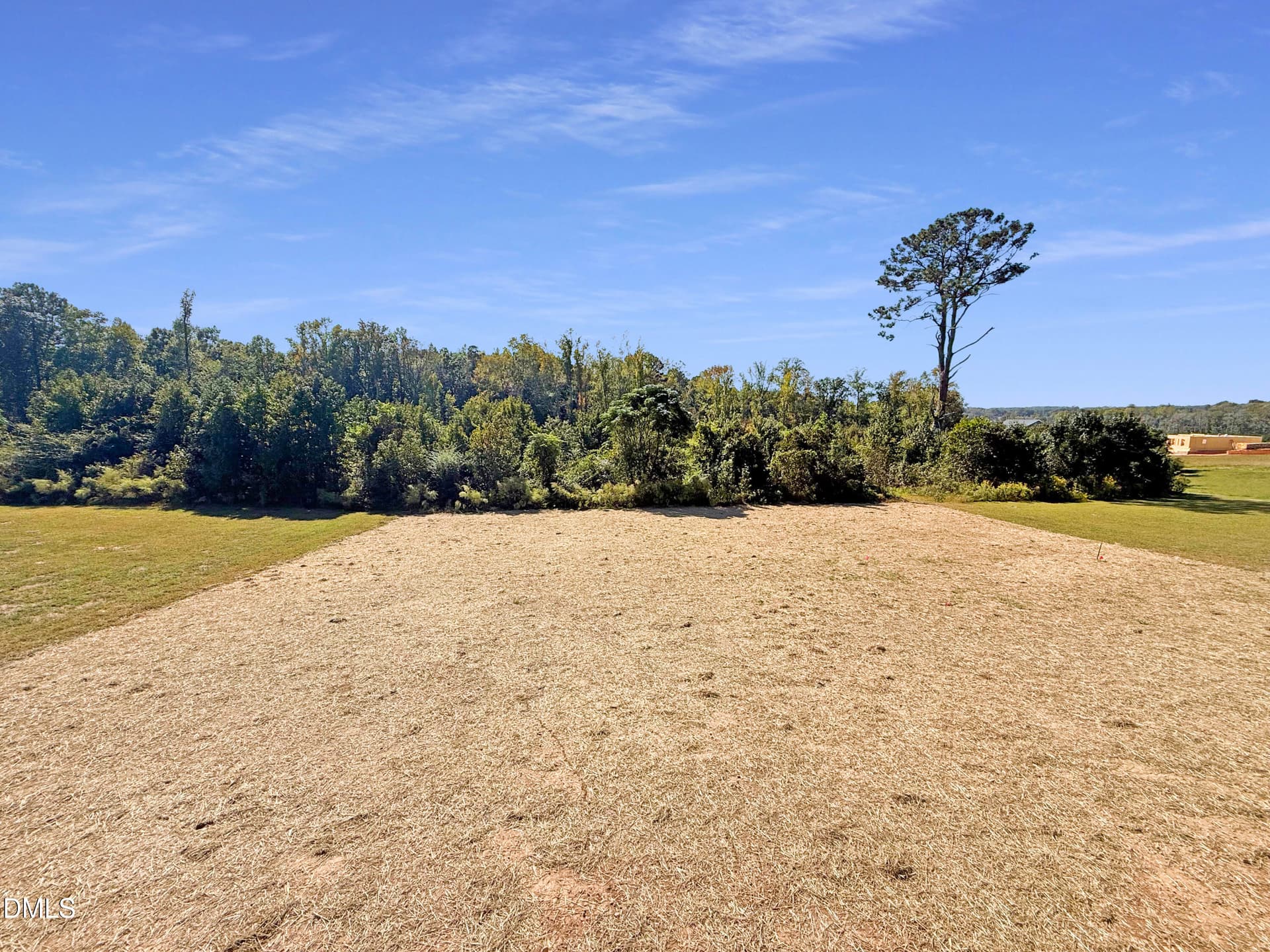 Back Yard - 219 Sweetfern Lane, Zebulon, NC 27597