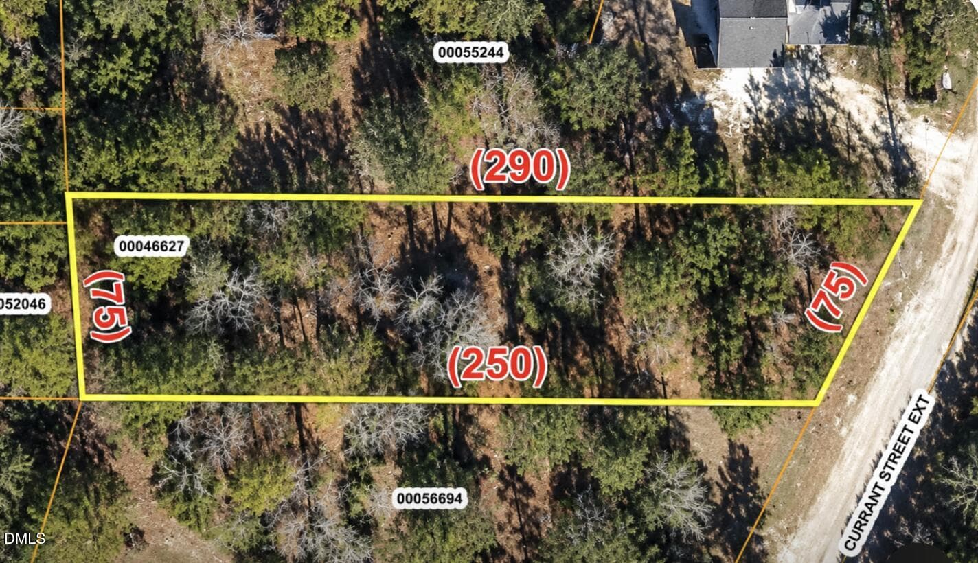 0 Current Street Ext Extension, Pinebluff, NC 28373