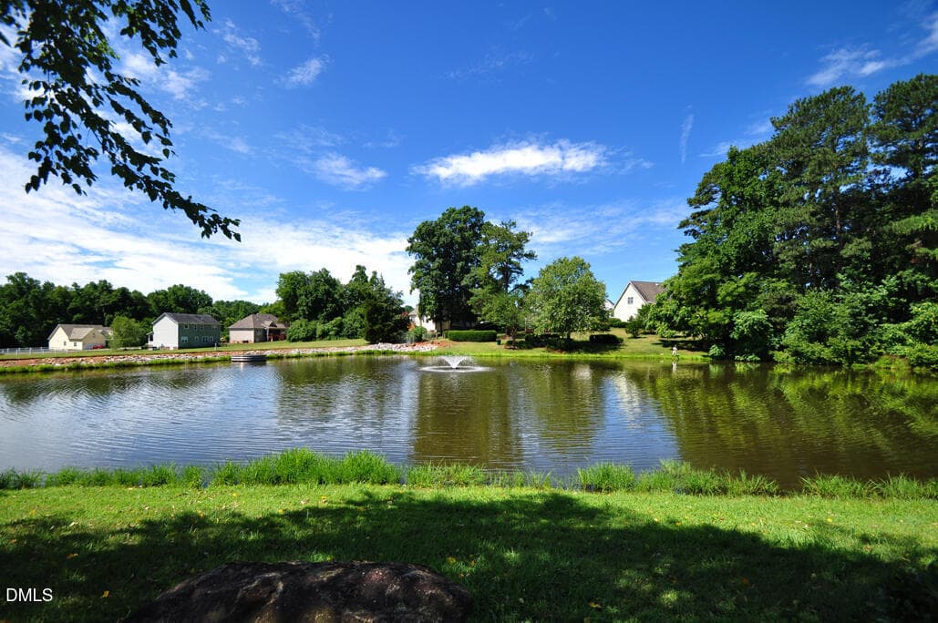 Community Pond - 15 Breezewood Court, Pittsboro, NC 27312, Pittsboro