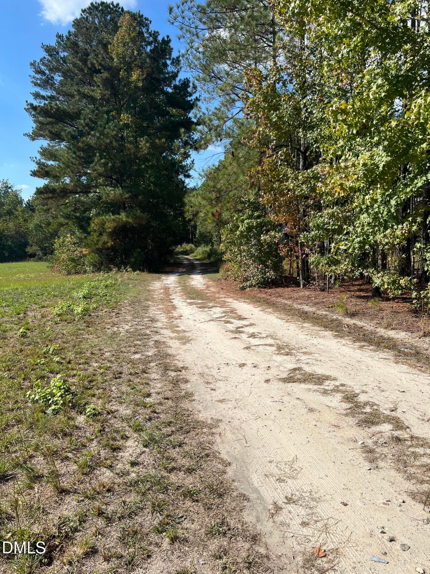 IMG_2262 - 0 Jones Cousins Way, Zebulon, NC 27597, Zebulon