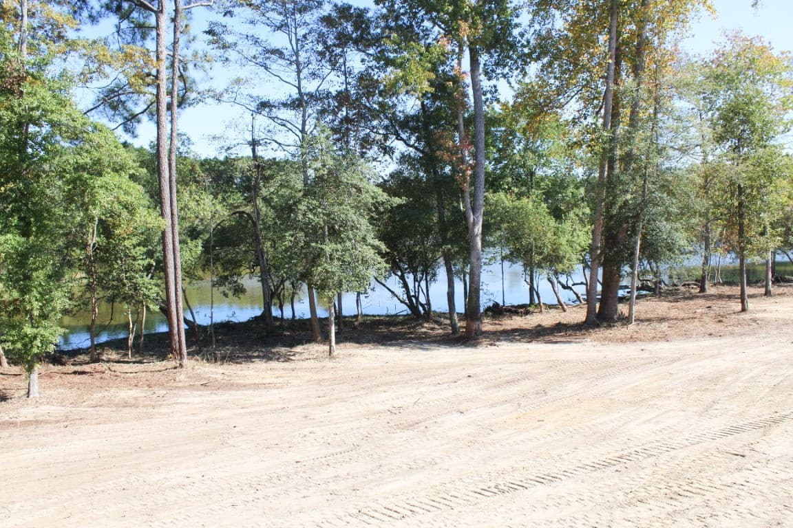 IMG_8624 (Medium)-2.jpg - 8529 Pascolo Way, Zebulon, NC 27597