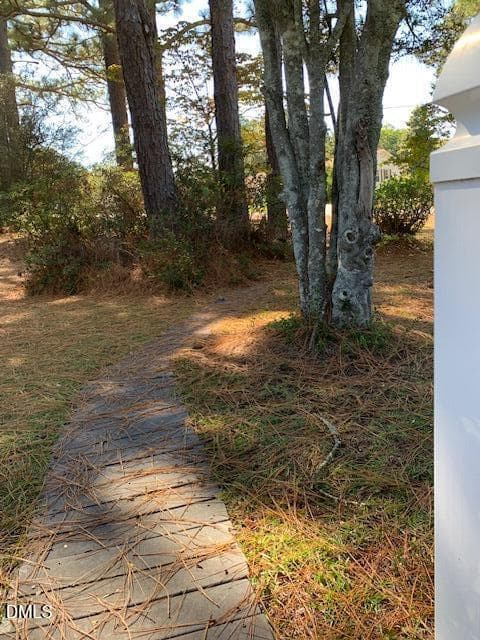 IMG_3765 - 805 S Parrish Street, Lillington, NC 27546, Lillington