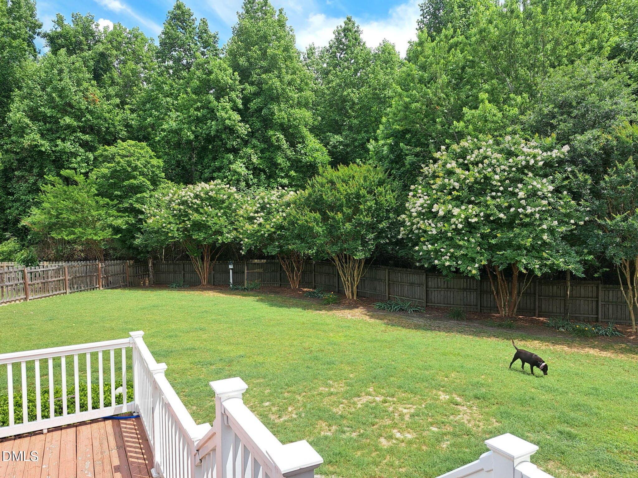 back yard 2 - 7917 Whimbrel Lane, Fuquay Varina, NC 27526, Fuquay Varina