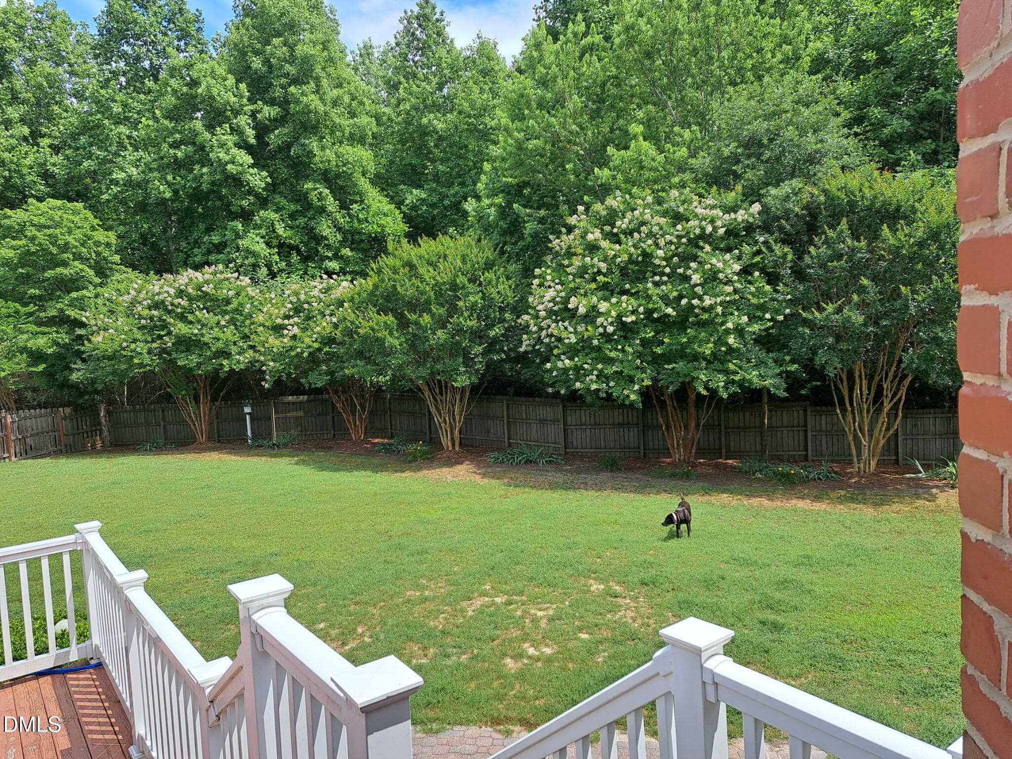back yard - 7917 Whimbrel Lane, Fuquay Varina, NC 27526, Fuquay Varina