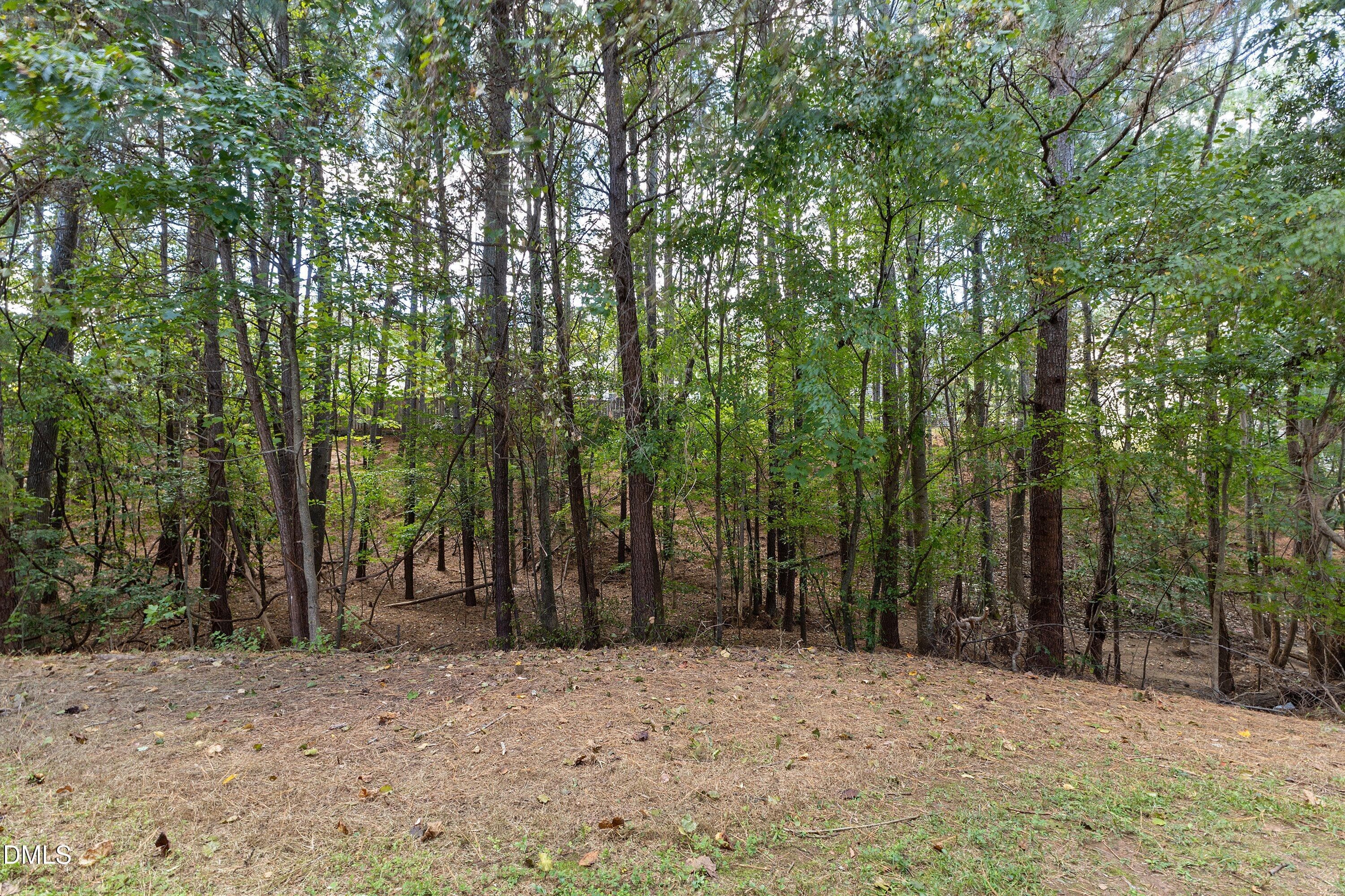 51-517 Texanna Way_0526 - 517 Texanna Way, Holly Springs, NC 27540, Holly Springs