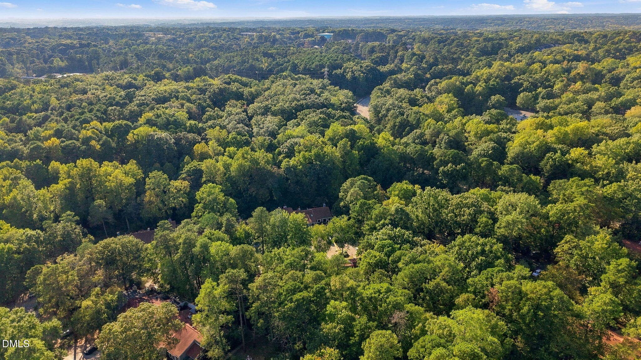 Mature Trees - 5845 Branchwood Road, Raleigh, NC 27609, Raleigh