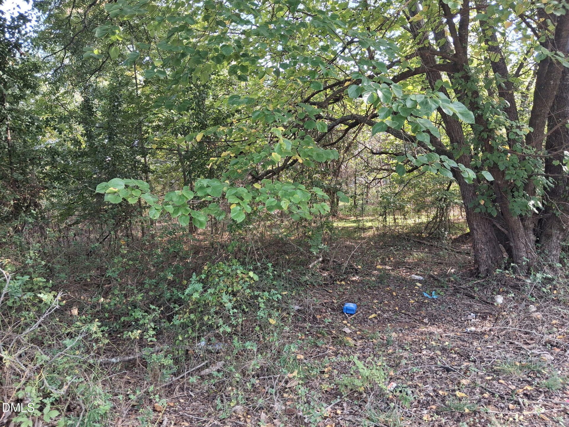 200 N Oakland Avenue, Eden, NC 27288