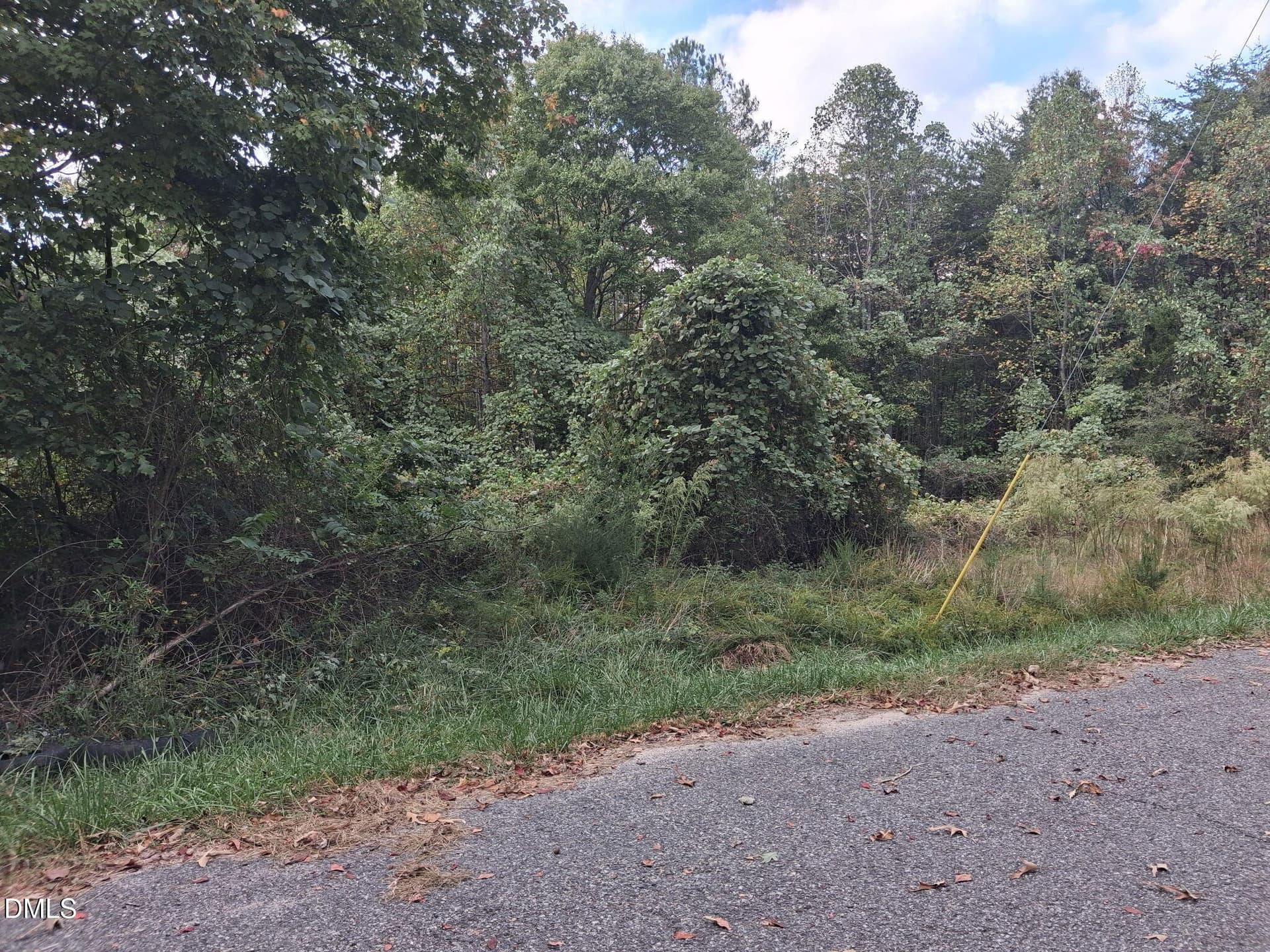 0 Grogan Street, Eden, NC 27288
