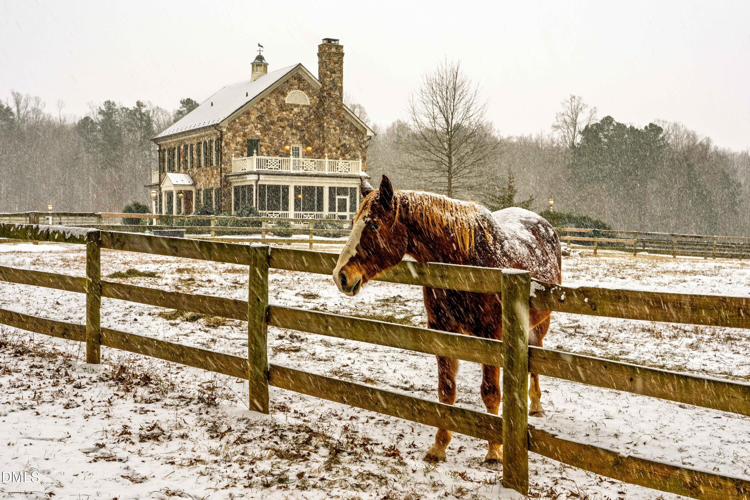 Snow Pony - 2844 Leasburg Road, Roxboro, NC 27574