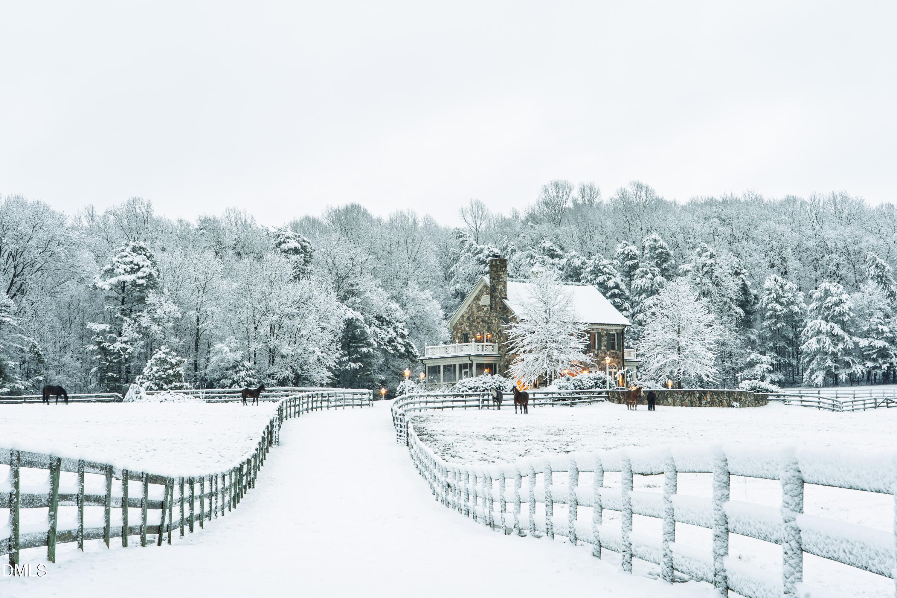 Snow - 2844 Leasburg Road, Roxboro, NC 27574