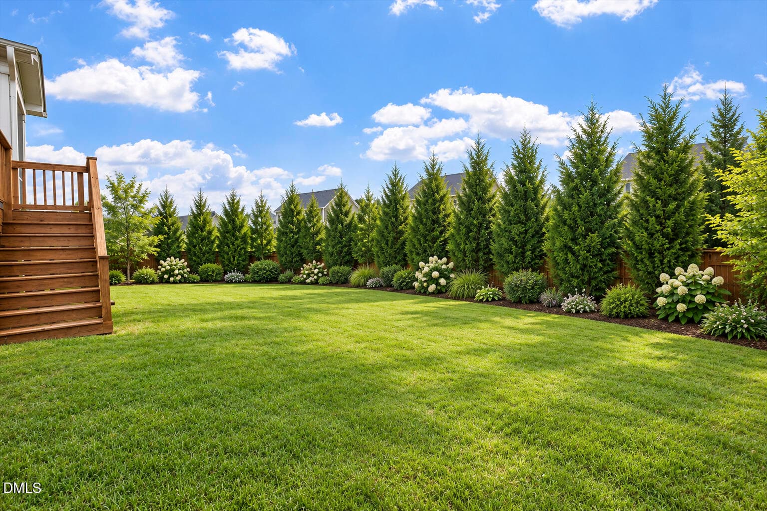 Back yard with Leyland Cypress - 245 N Crest Drive, Chapel Hill, NC 27517, Chapel Hill