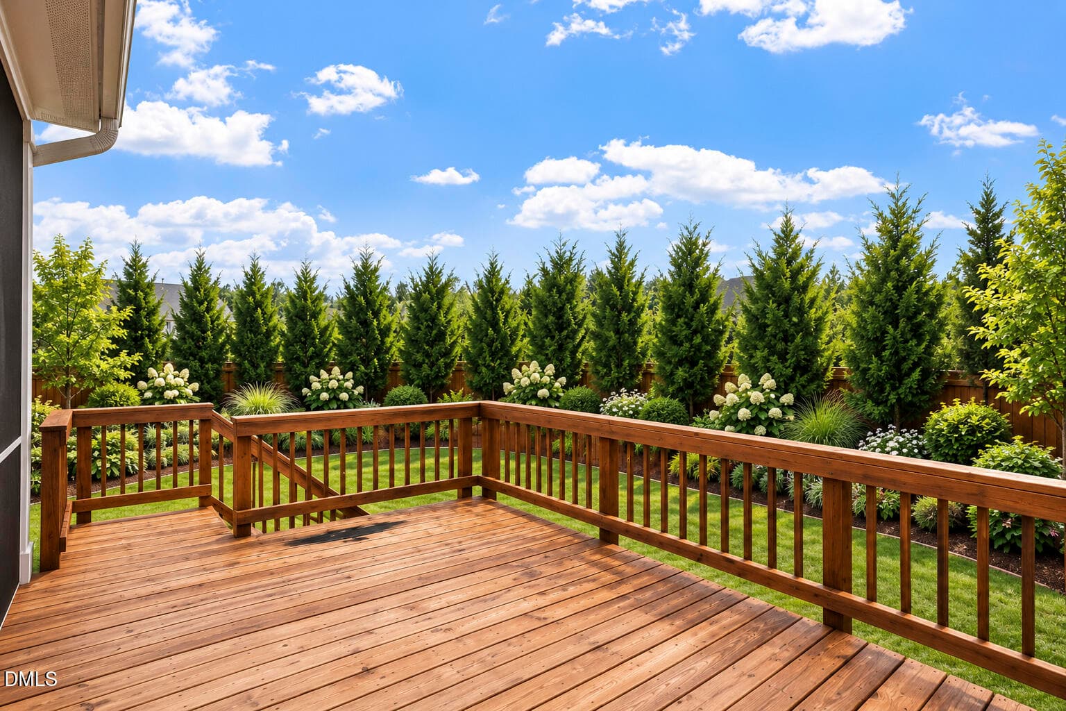 Deck with Leyland Cypress - 245 N Crest Drive, Chapel Hill, NC 27517, Chapel Hill