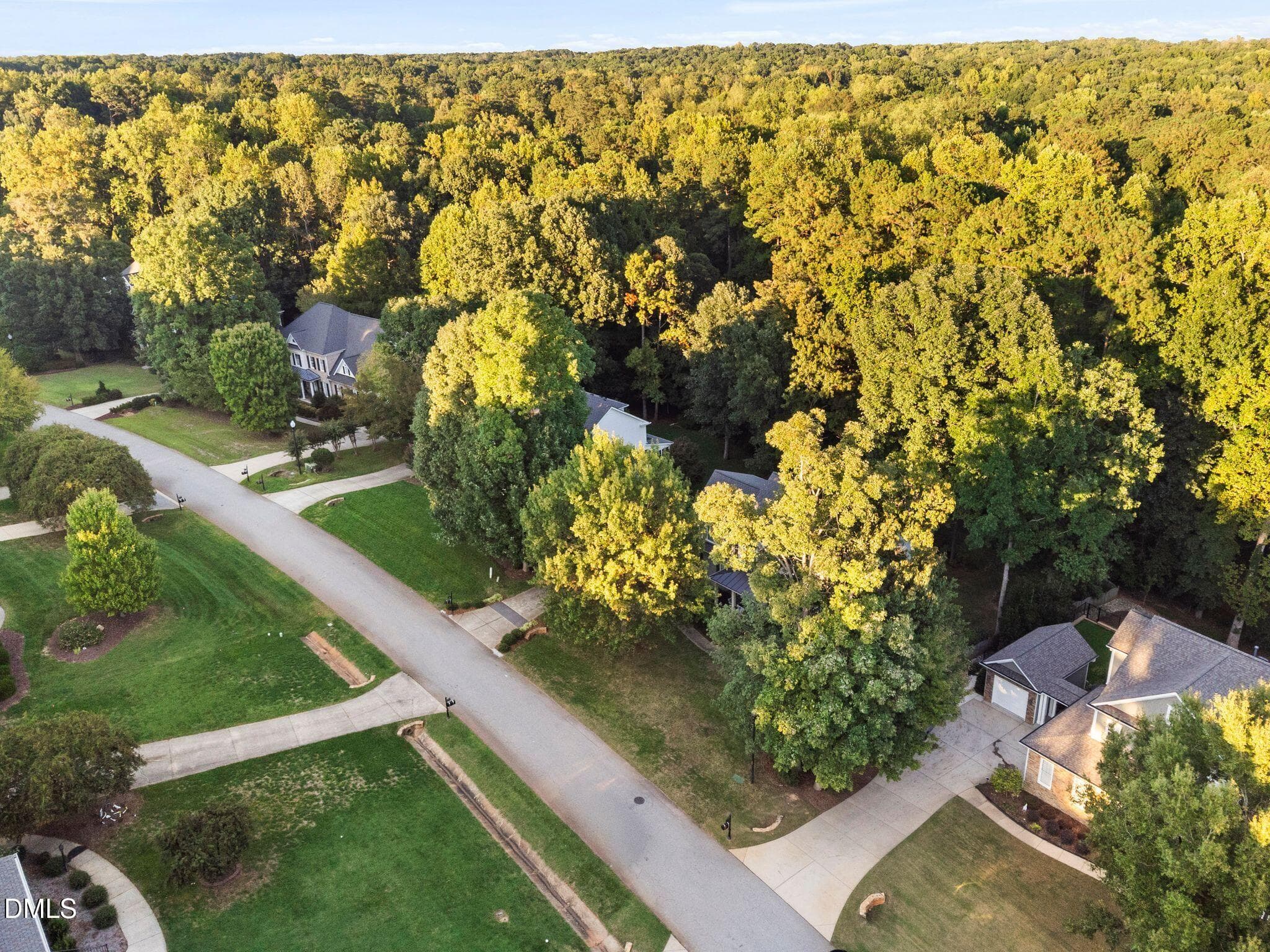 39_DJI_0106 - 4029 Summer Brook Drive, Apex, NC 27539, Apex