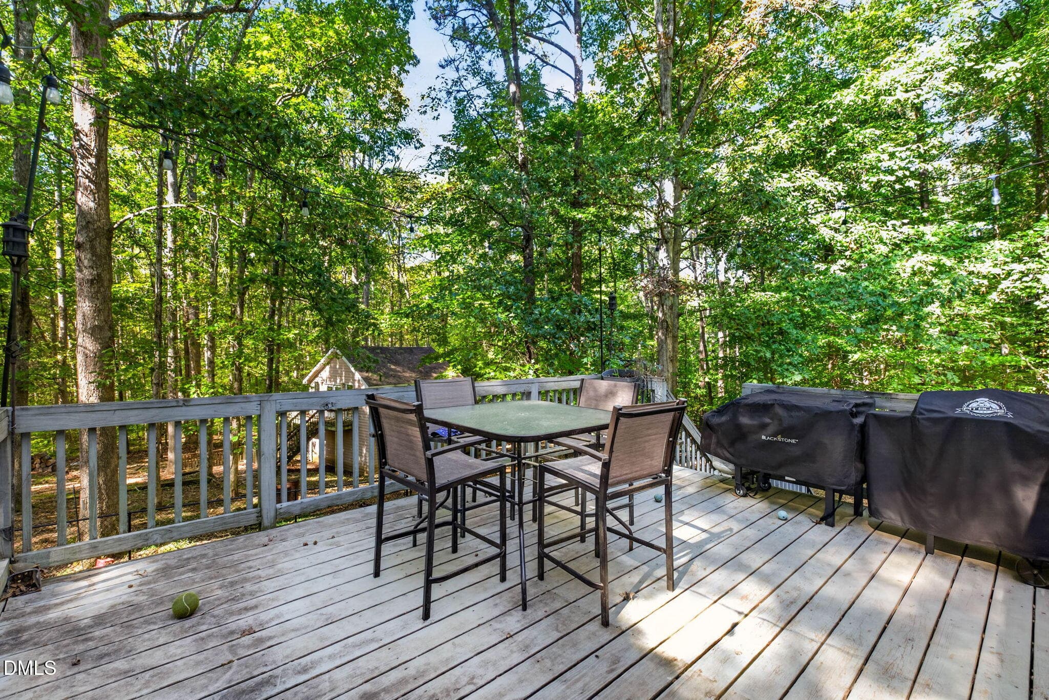 32-web-or-mls-93 Bridges Farm Rd -32 - 193 Bridges Lane, Youngsville, NC 27596, Youngsville