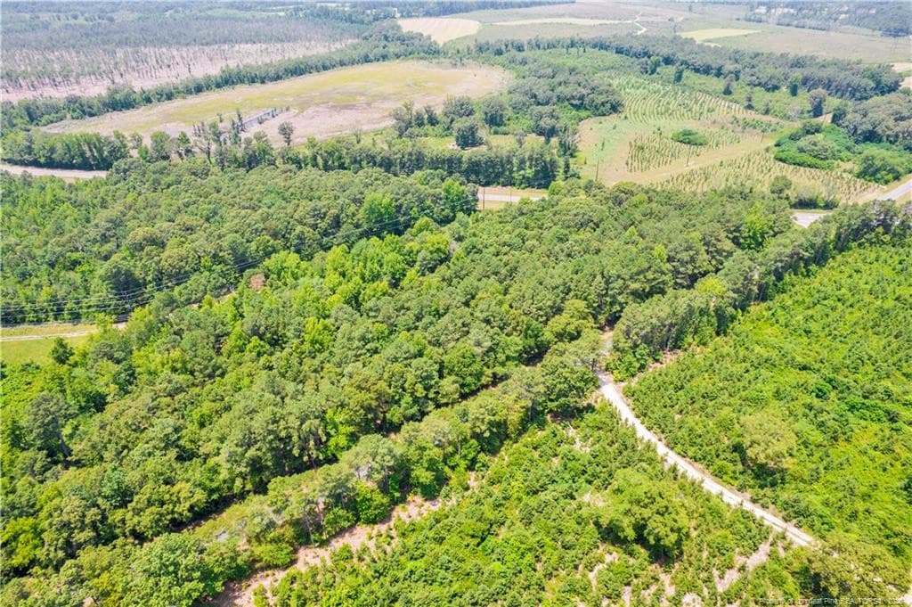 Photo 6 - Seals Road, Laurinburg, NC 28352
