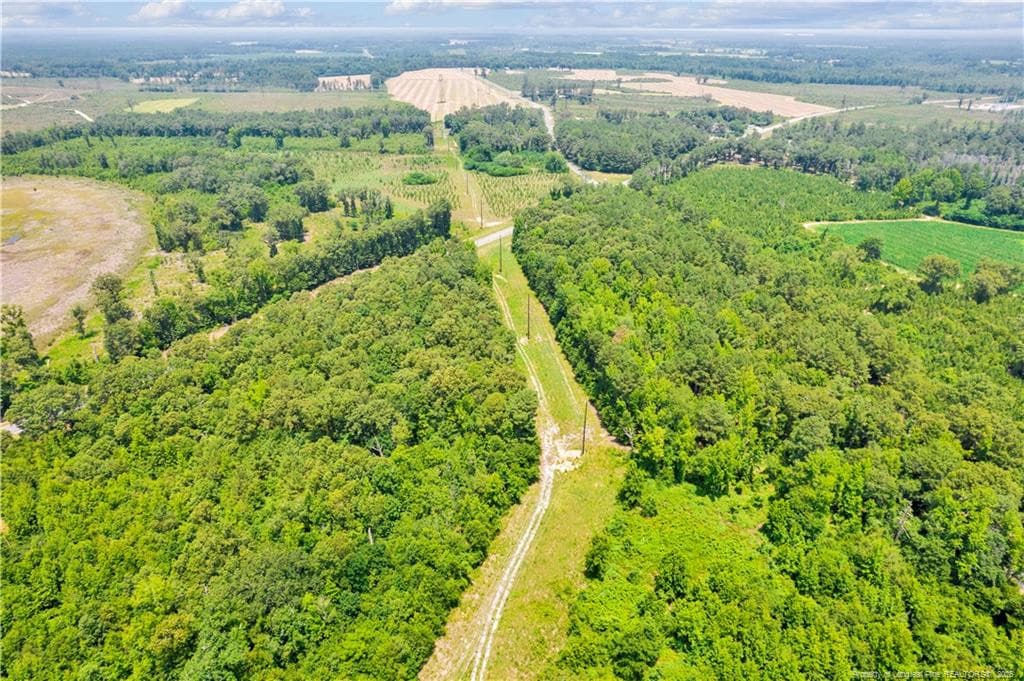 Photo 16 - Seals Road, Laurinburg, NC 28352