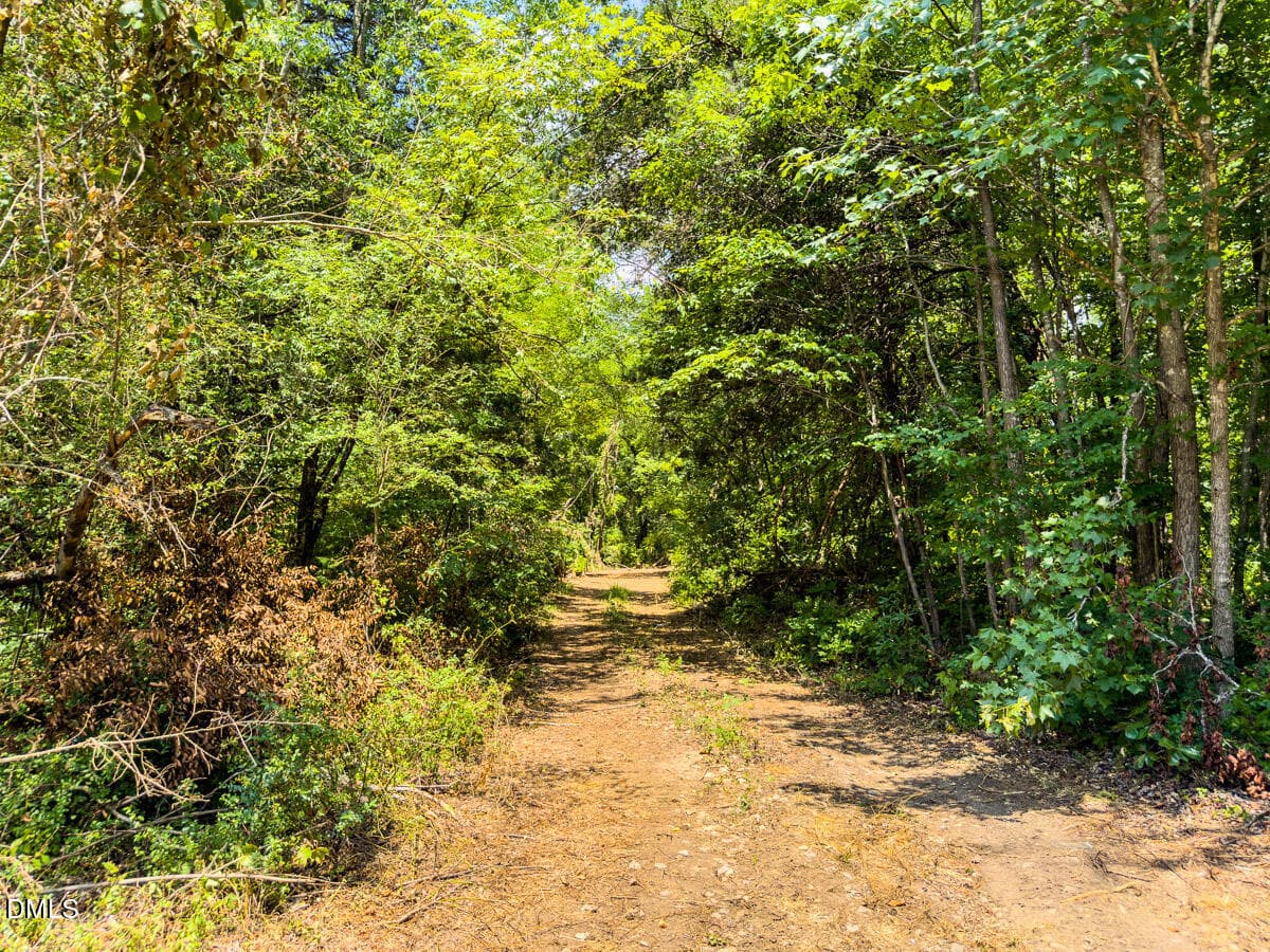Caswell Co. NC 7.47-COA-Lot2-05 - 0 Park Springs Road, Ruffin, NC 27326