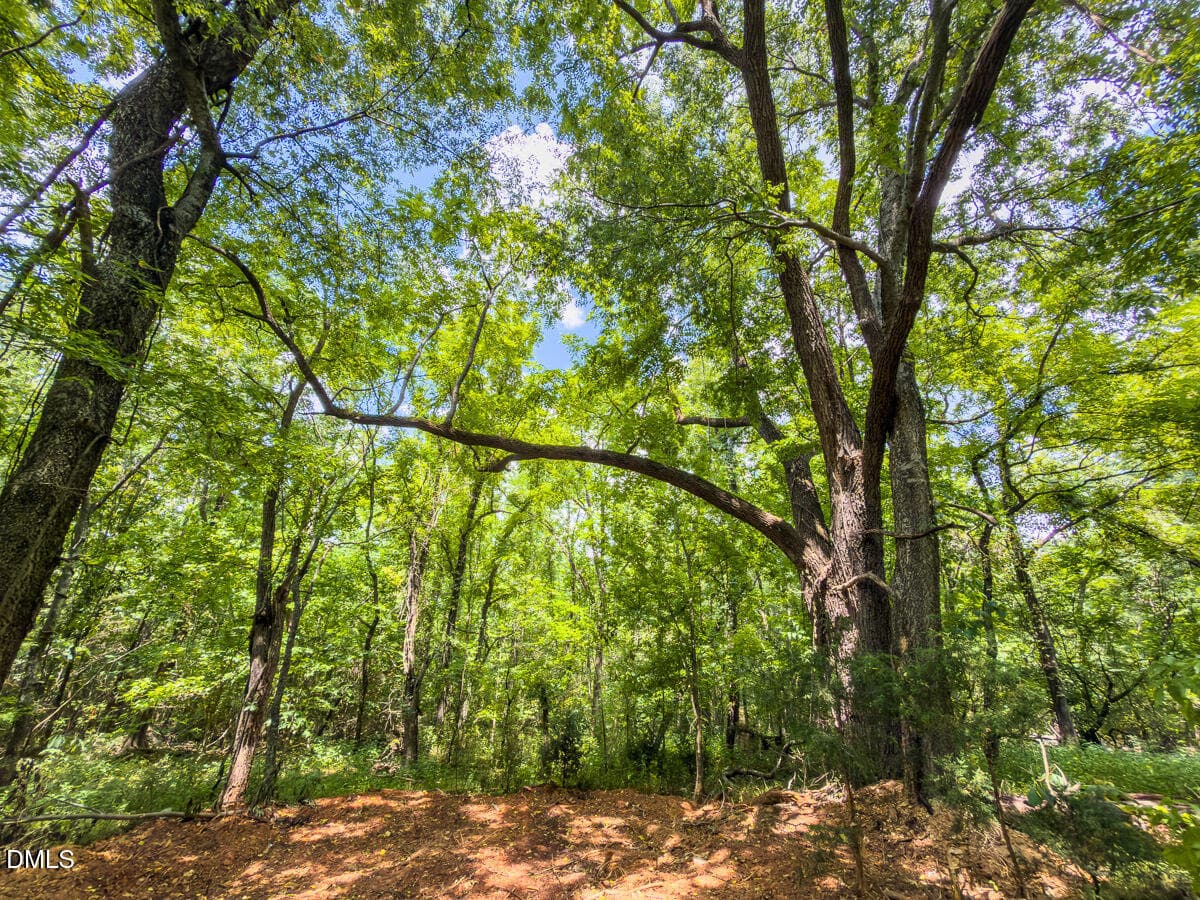 Caswell Co. NC 7.47-COA-Lot2-27 - 0 Park Springs Road, Ruffin, NC 27326