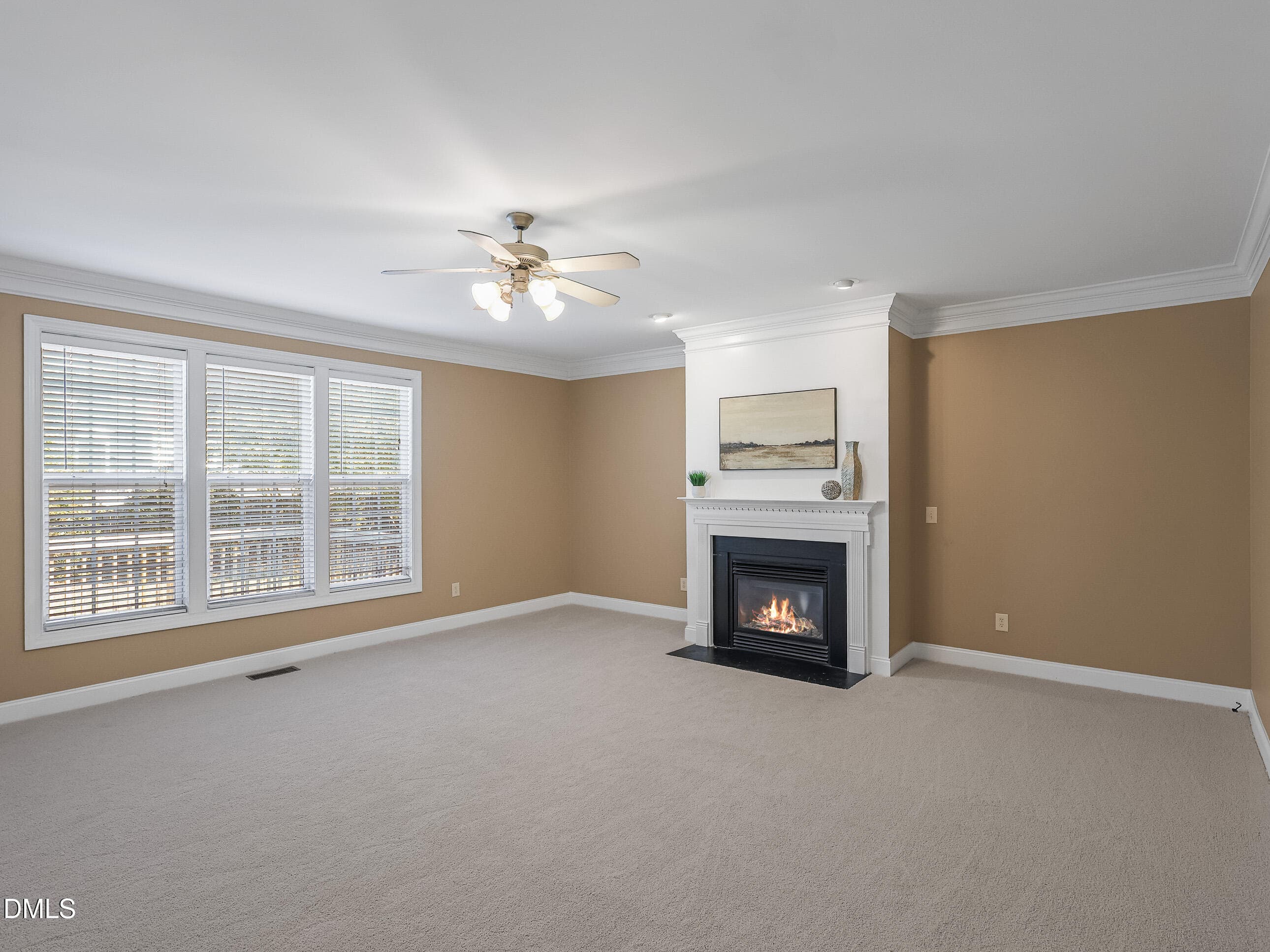 008_322_big_willow_living - 322 Big Willow Way, Rolesville, NC 27571, Rolesville