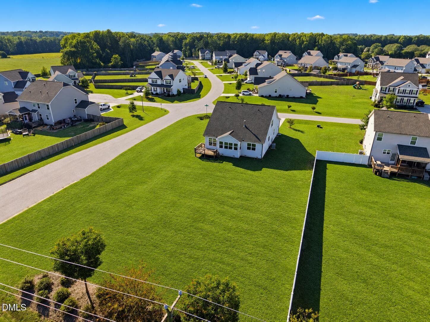 Aerial - 8313 Walking Fern Court, Willow Springs, NC 27592, Willow Springs