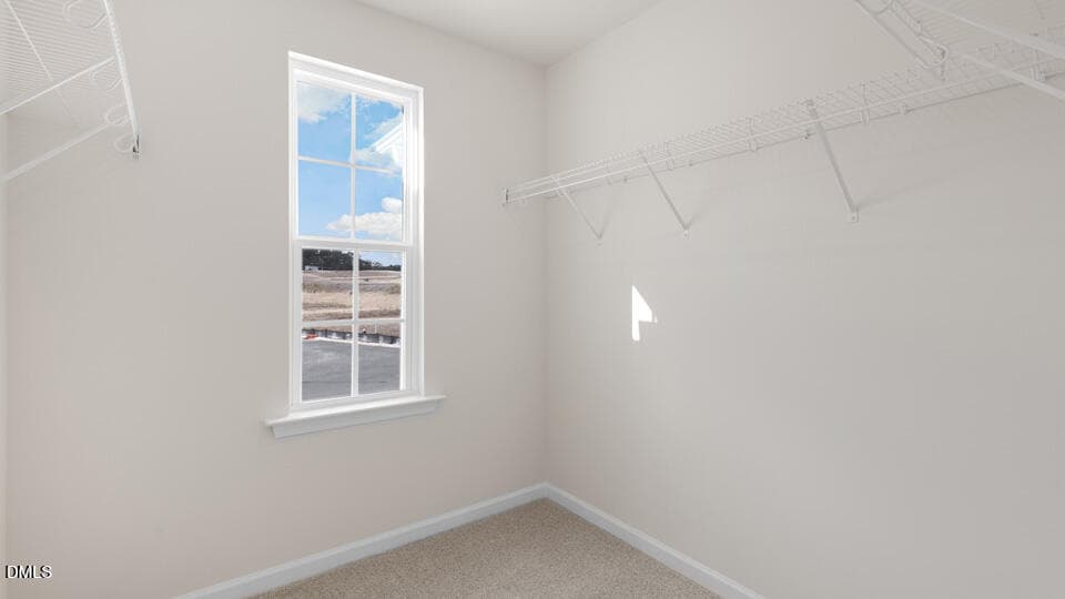 PRIMARY SUITE CLOSET - 249 Otter Lodge Street, Sanford, NC 27330, Sanford