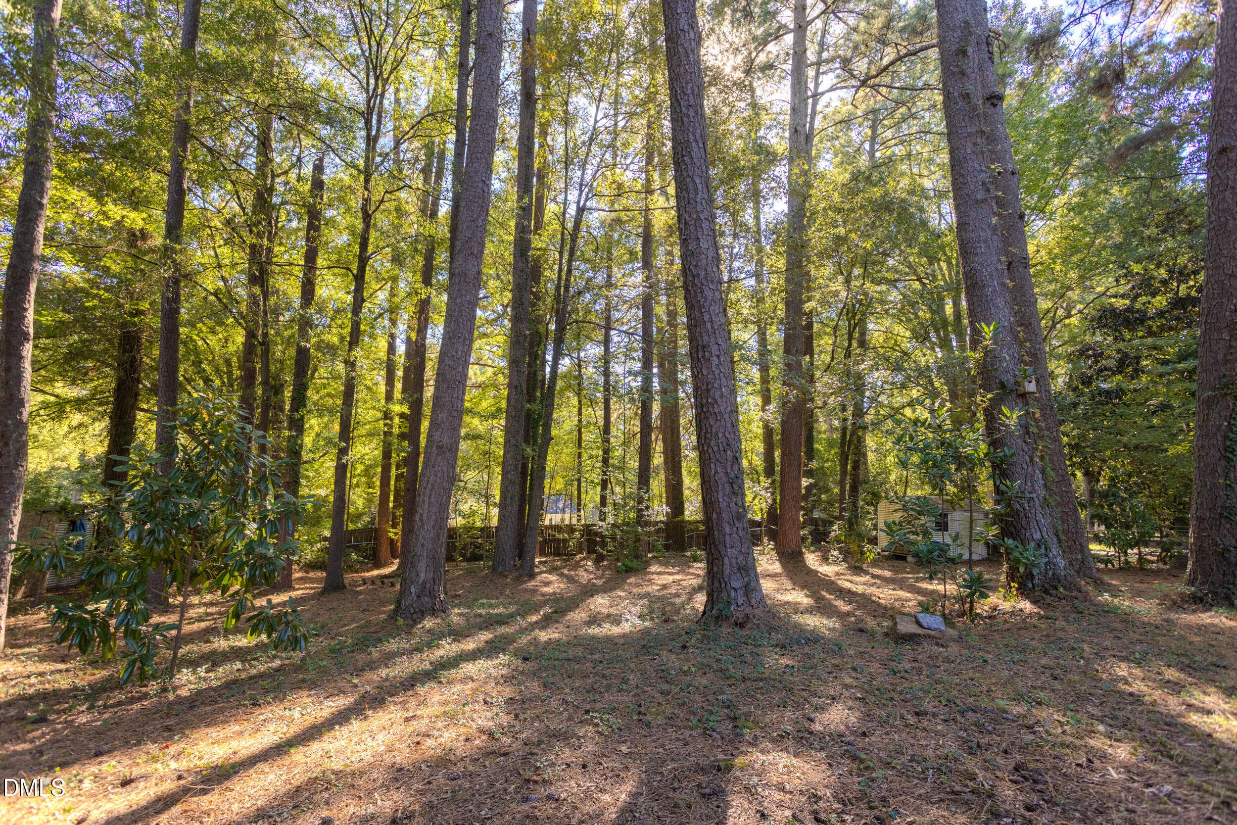 28_Hawthorne_MLS-6 - 28 Hawthorne Drive, Durham, NC 27712, Durham