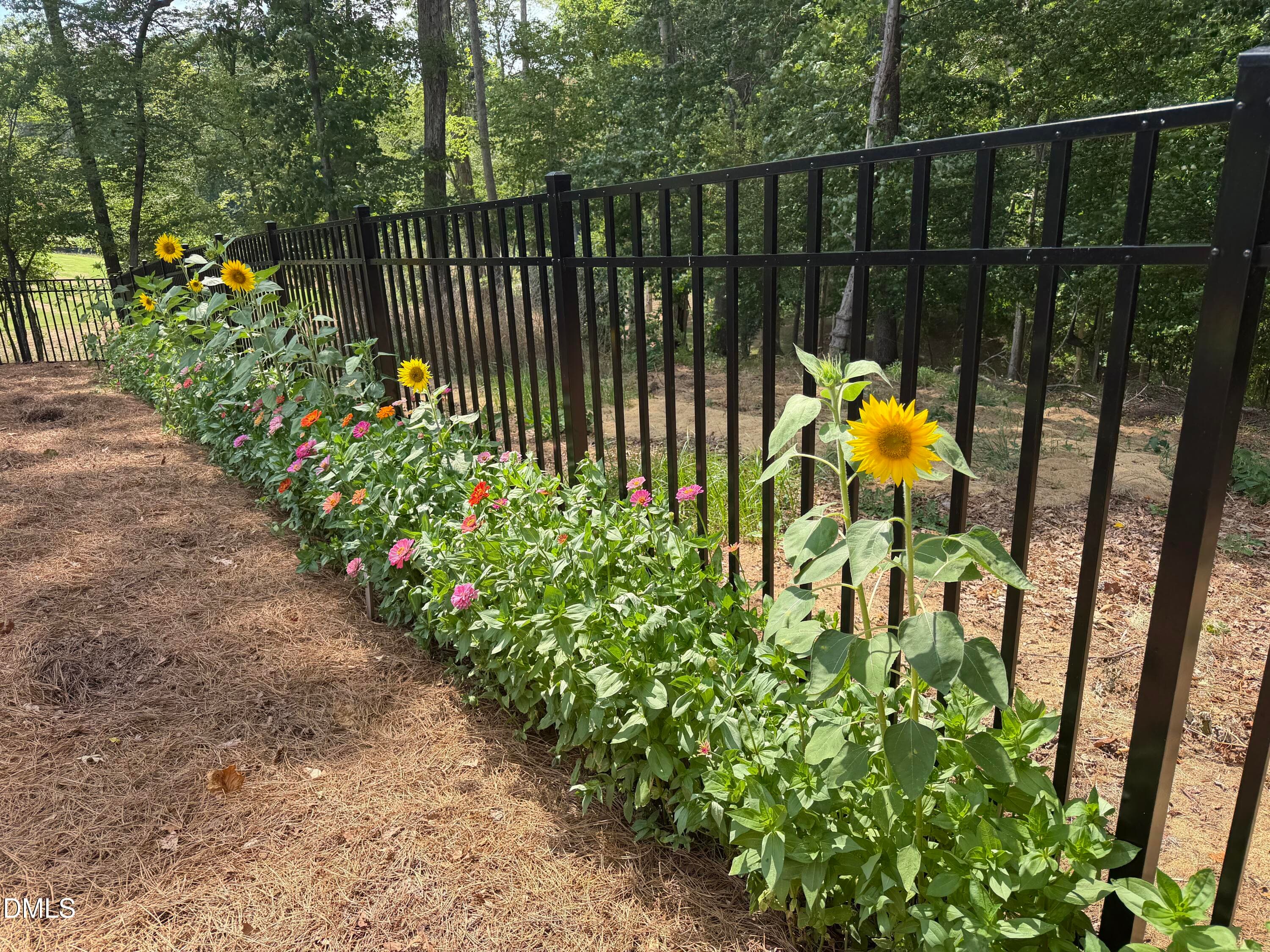 41) 77429-6abb0d693cfb0 - 1625 Legacy Ridge Lane, Wake Forest, NC 27587, Wake Forest