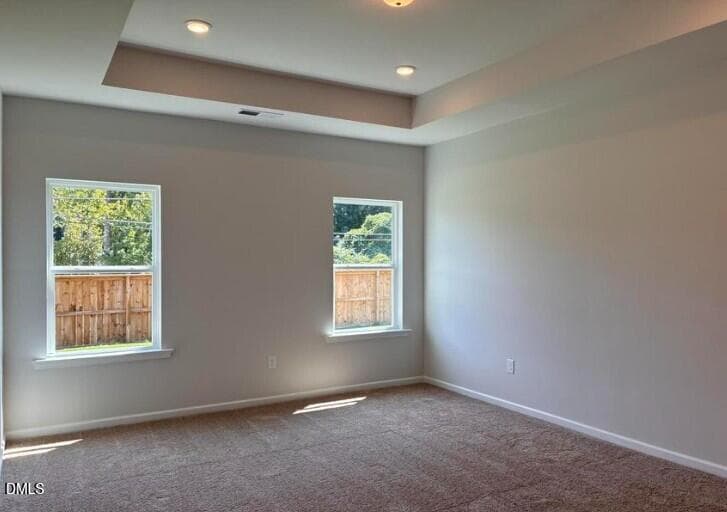 Tray Ceiling - 413 Barter Drive, Vass, NC 28394