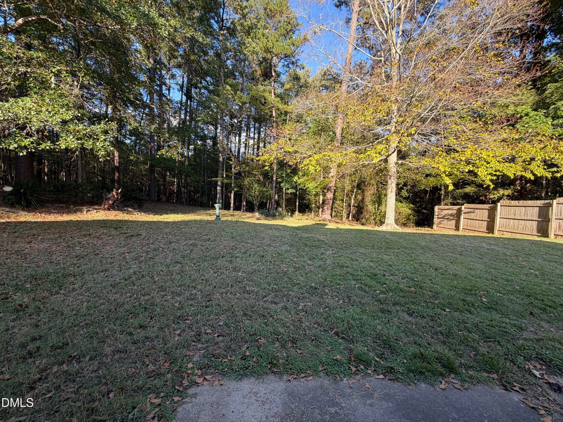 Backyard 1 - 301 Reynolds Avenue, Durham, NC 27707